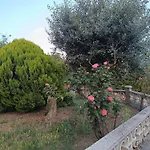 Apartma Zeleni Mir Dobravlje