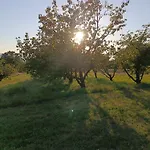 Apartma Zeleni Mir *