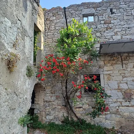 דירה Apartma Zeleni Mir