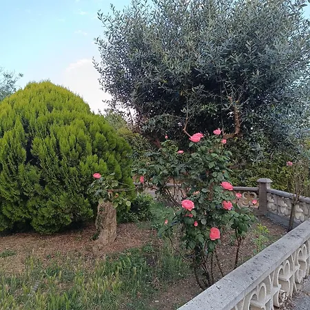 Apartma Zeleni Mir Dobravlje