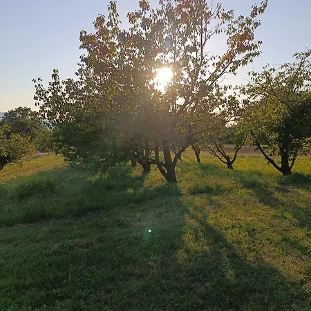 Apartma Zeleni Mir *