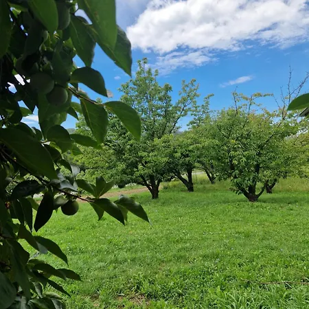 Apartma Zeleni Mir Apartman Dobravlje