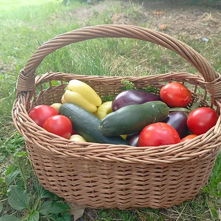 Apartament Apartma Zeleni Mir *