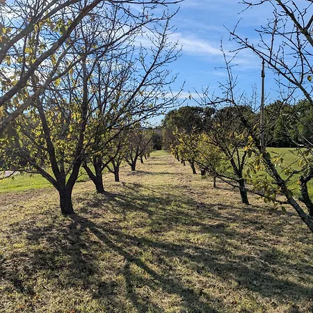 Apartma Zeleni Mir * Dobravlje