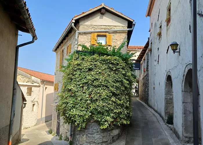 Apartma Zeleni Mir Appartement *