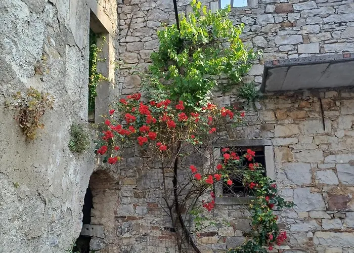 Apartman Apartma Zeleni Mir