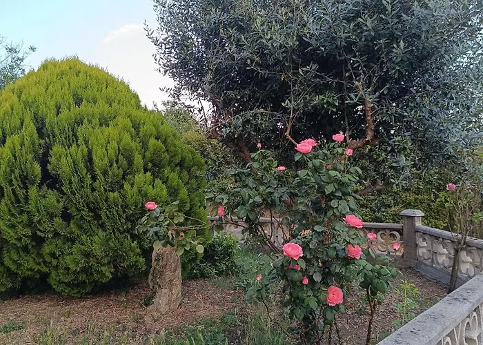 Apartma Zeleni Mir Dobravlje