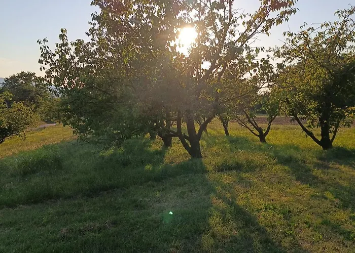 Apartma Zeleni Mir *