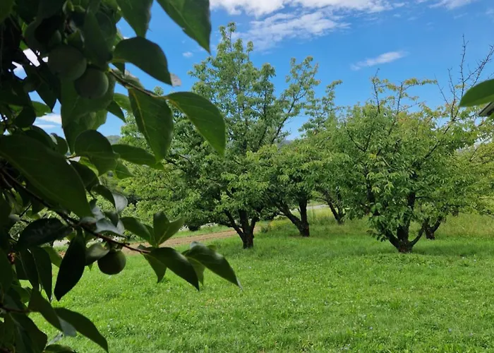 Apartma Zeleni Mir Appartement Dobravlje