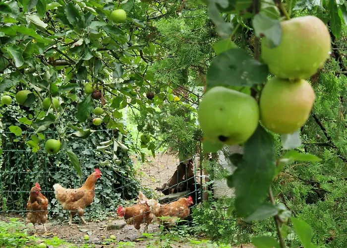 Apartma Zeleni Mir Appartement