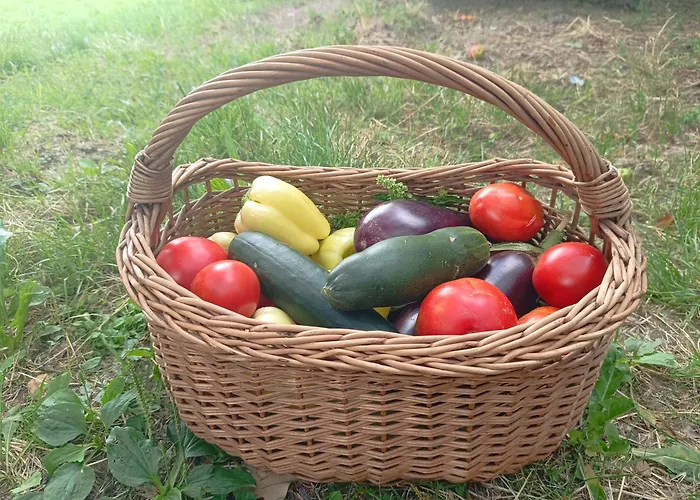 Appartement Apartma Zeleni Mir *