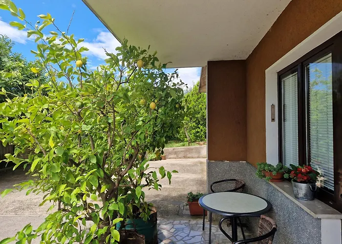 Apartman Apartma Zeleni Mir