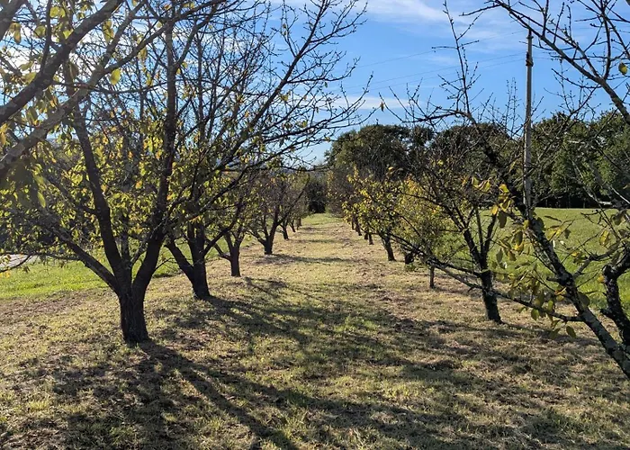 Apartma Zeleni Mir * Dobravlje
